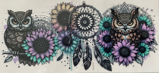 Owl with Dream Catcher