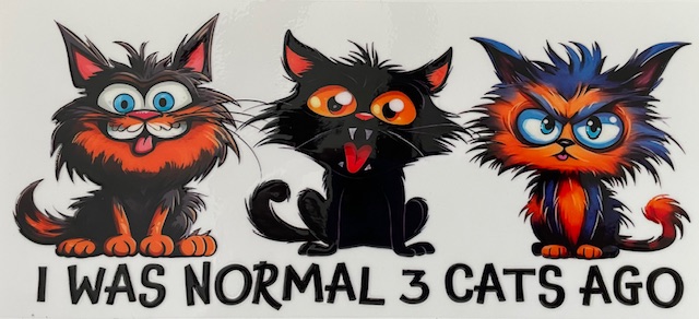 I Was Normal 3 Cats Ago
