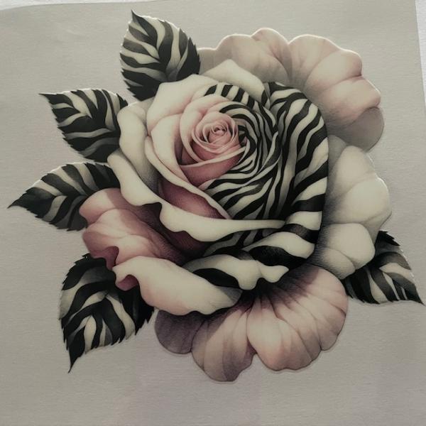 Pink rose w/zebra stripes