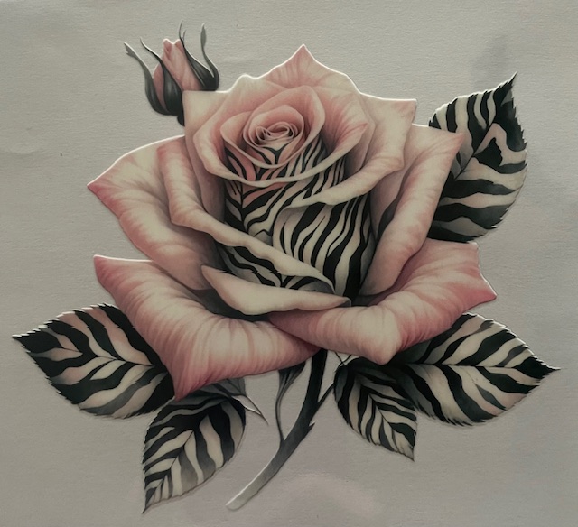 Pink rose w/zebra stripes