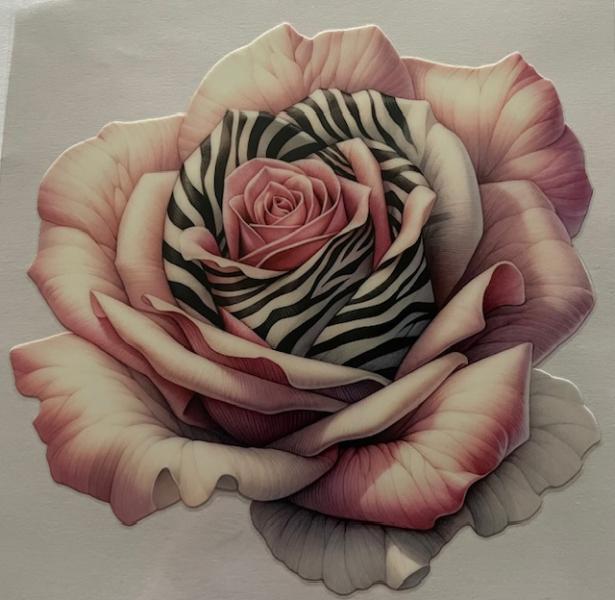 Pink rose w/zebra stripes