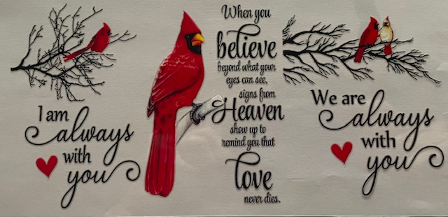 Cardinal - Signs of Angels 