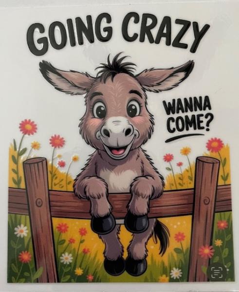 Donkey - Going Crazy Wanna Come - EXCLUSIVE 5 inch Decal