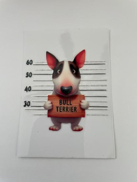 Bull Terrier
