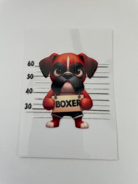 Boxer