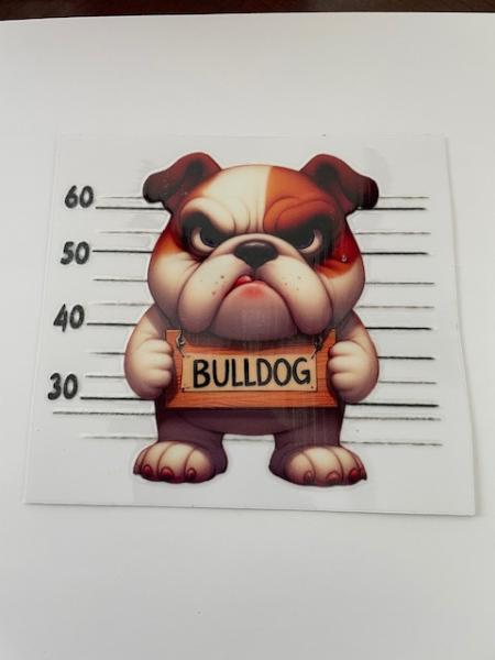 Bulldog