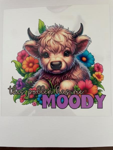 Cow - This pollen has me Moody
