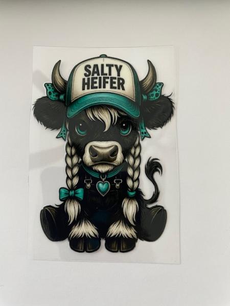 Cow - Salty Heifer