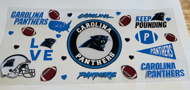 Football - Carolina Panthers