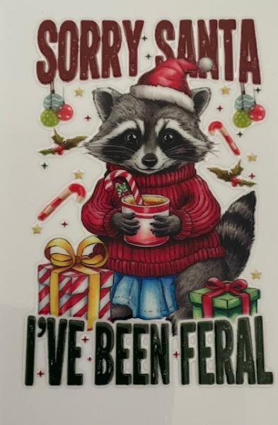 Racoon - Sorry Santa I've been feral