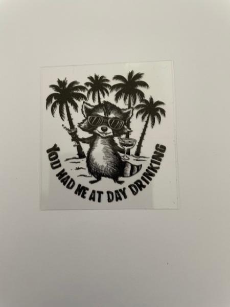 Racoon - You had me at day drinking