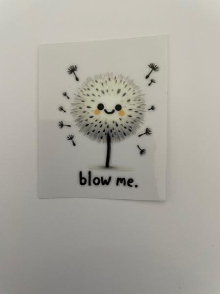 Blow Me