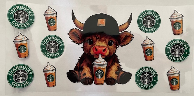 Starbies Cow